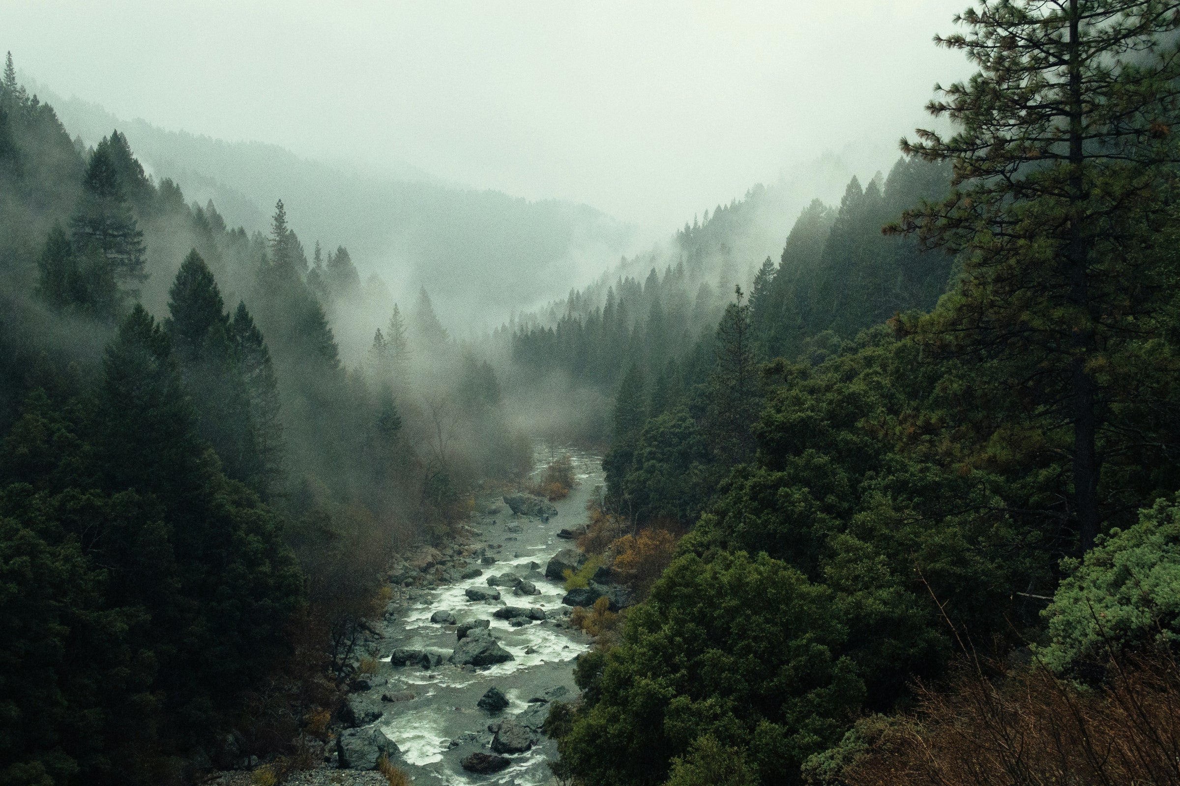 Field Note No. 001: Before the Trail
