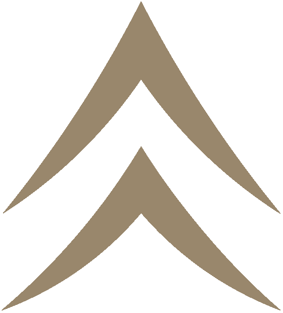 Black Timber Goods Logo