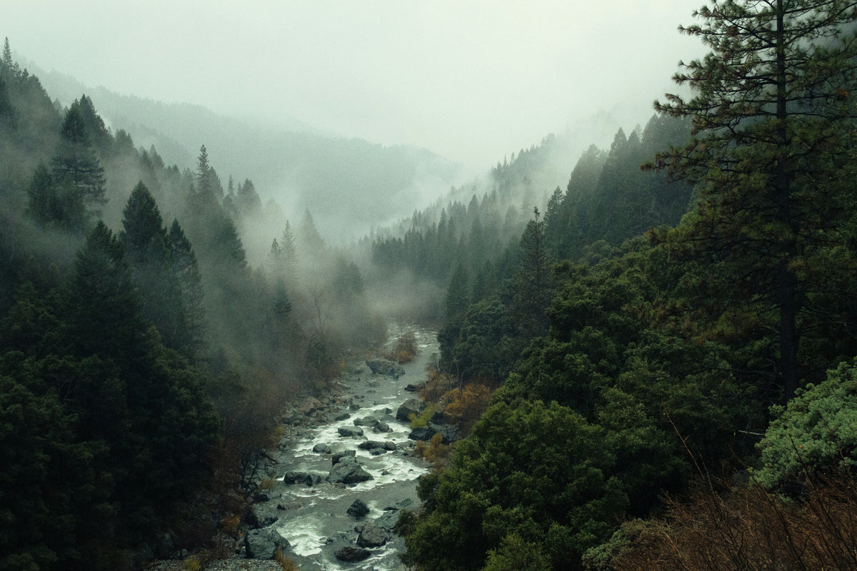 Field Note No. 001: Before the Trail