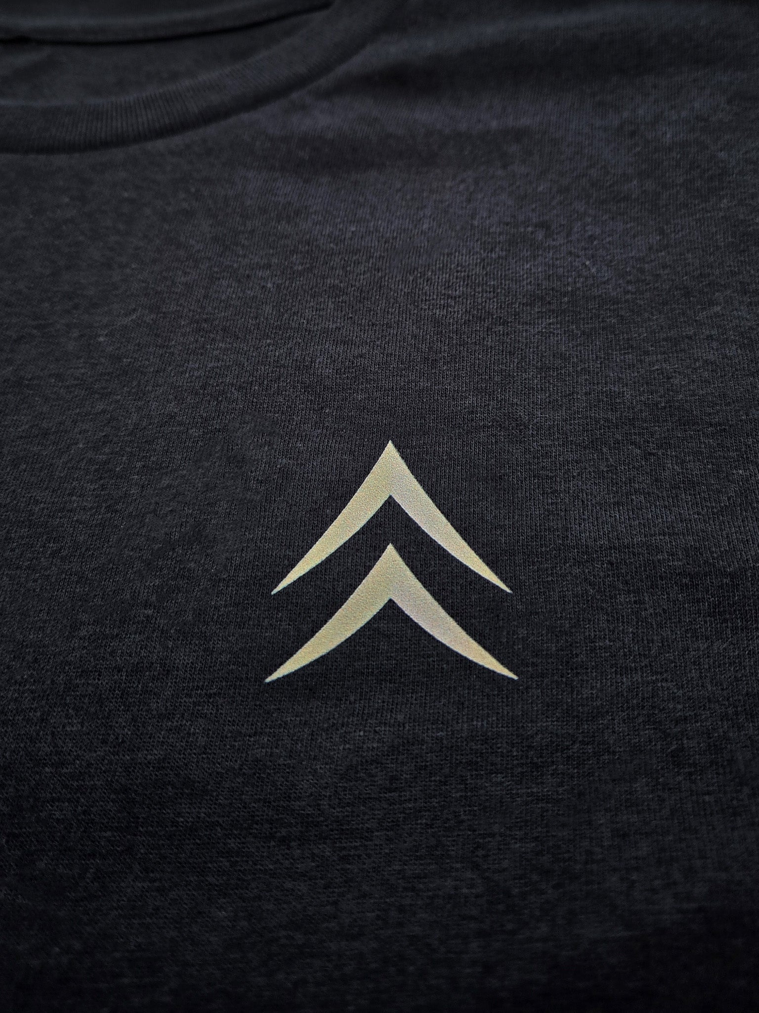 Alpine Chevron chest mark on The Long Way In typography shirt.